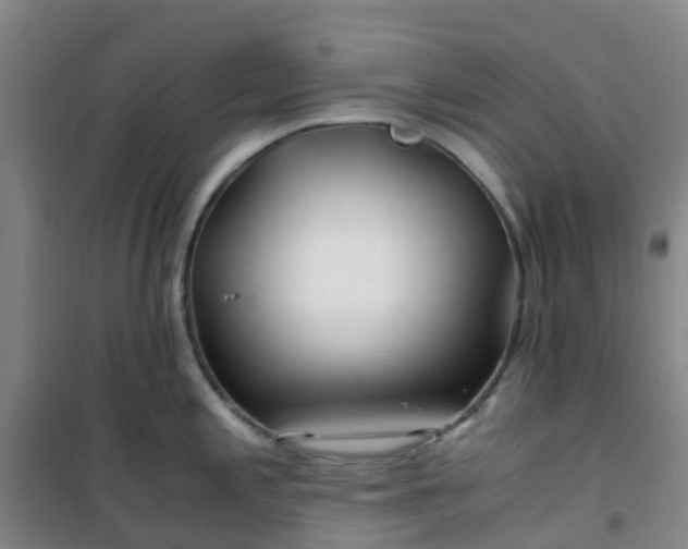 X0000101171197200807111045