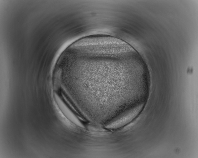 X0000101171200200807111045