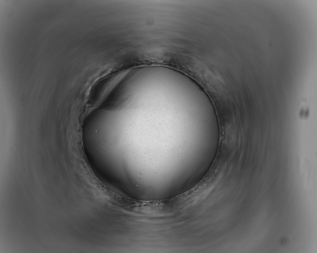 X0000101171201200807111044