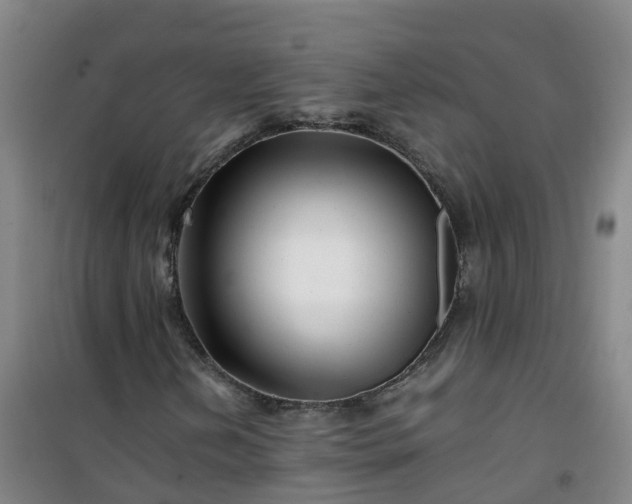 X0000101171202200807111044