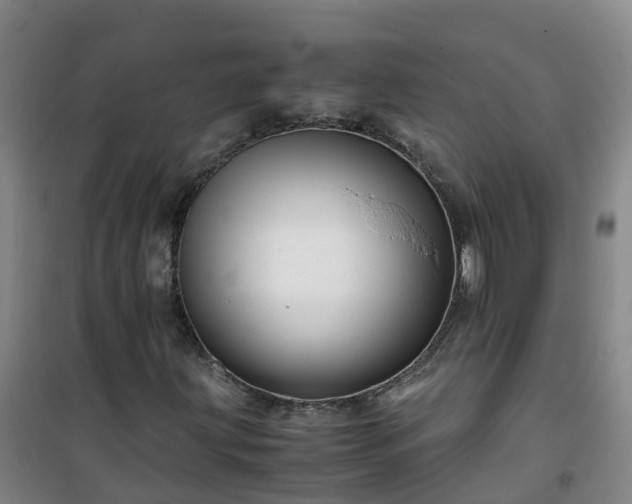 X0000101171203200807111044