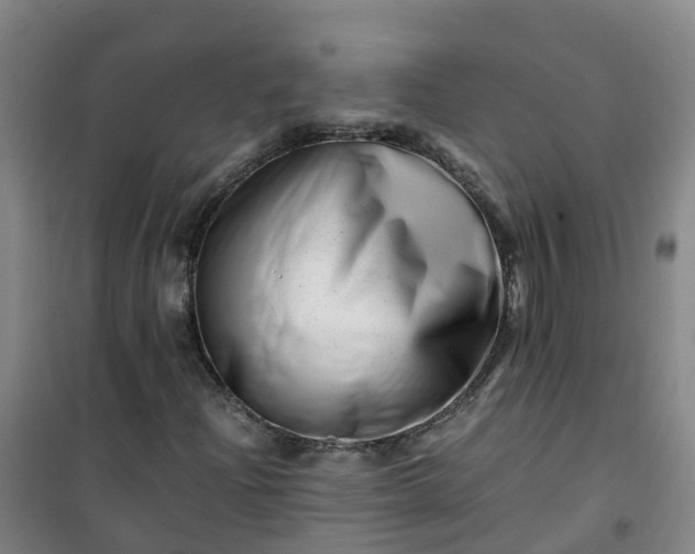 X0000101171204200807111044