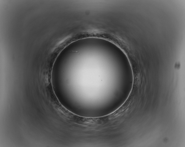 X0000101171205200807111044