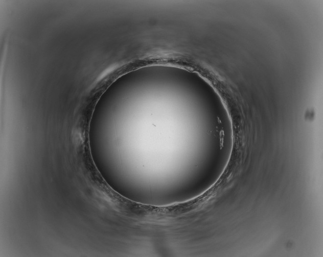 X0000101171206200807111044