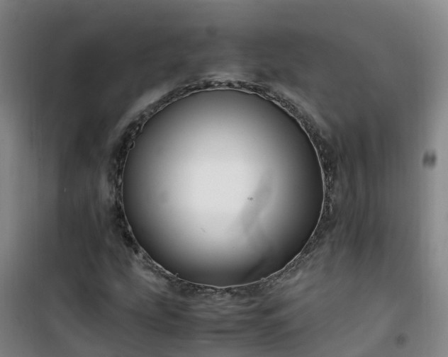 X0000101171207200807111044