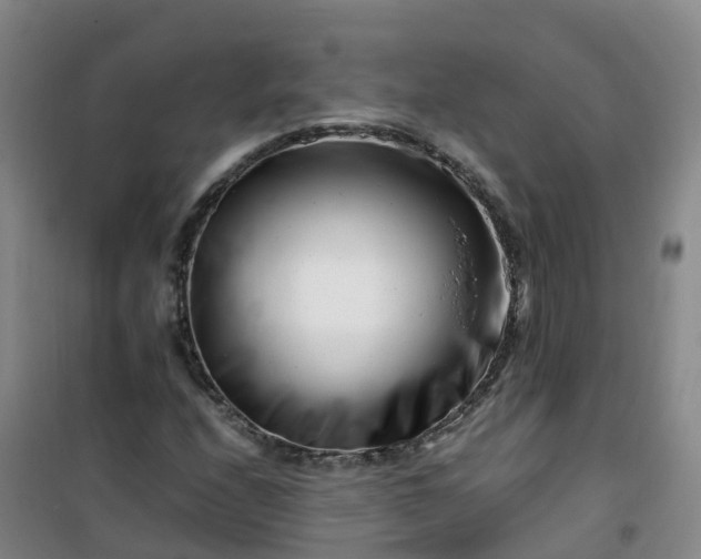 X0000101171208200807111044