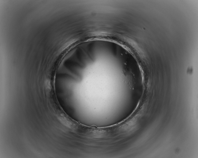 X0000101171209200807111044