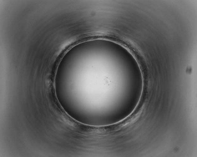 X0000101171210200807111044