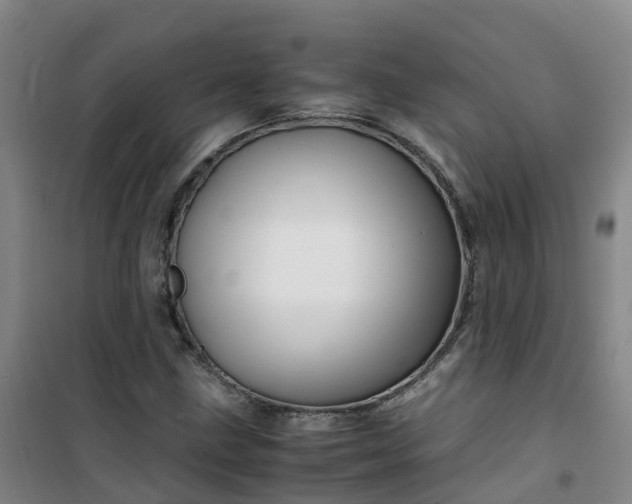 X0000101171211200807111044