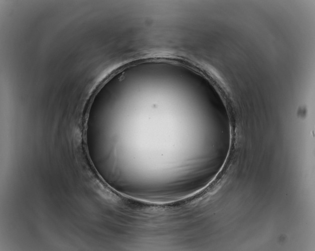 X0000101171212200807111044