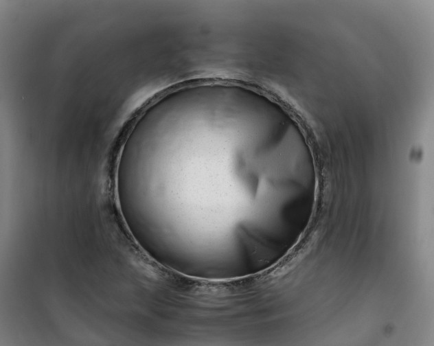 X0000101171215200807111044
