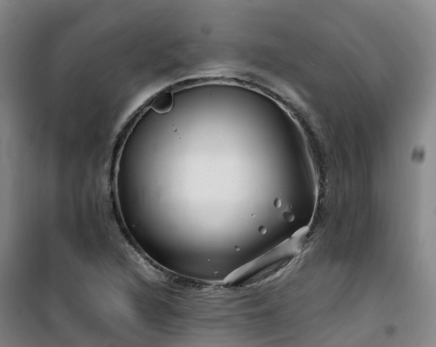 X0000101171216200807111044