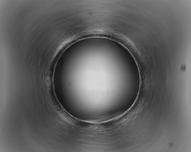 X0000101171218200807111044