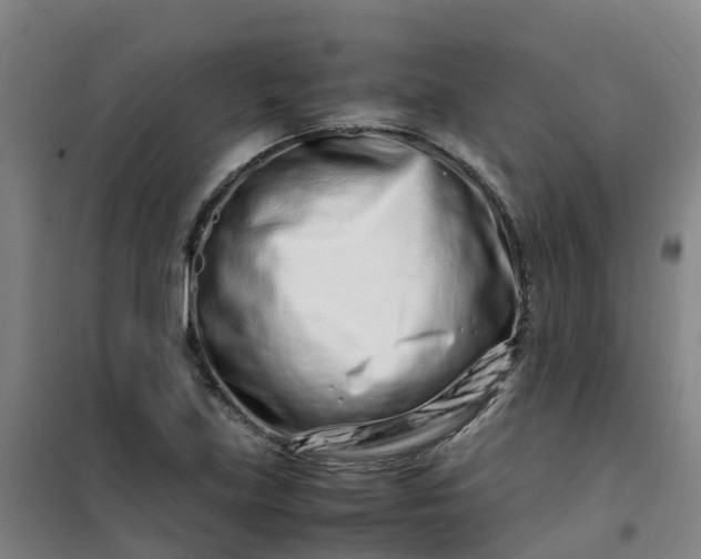 X0000101171219200807111044
