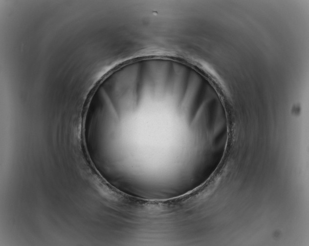 X0000101171220200807111044