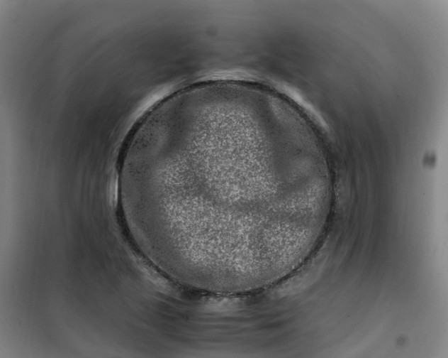 X0000101171221200807111044