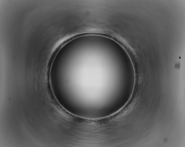 X0000101171222200807111044