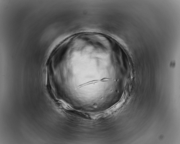 X0000101171223200807111044