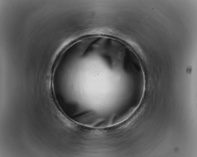 X0000101171224200807111044