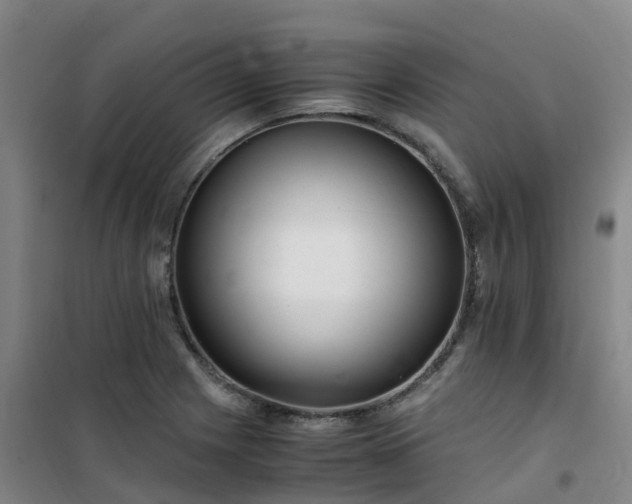 X0000101171225200807111044