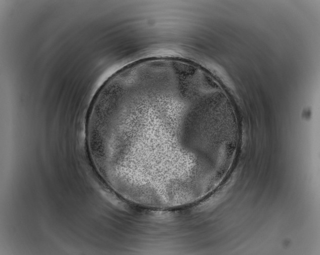 X0000101171226200807111044