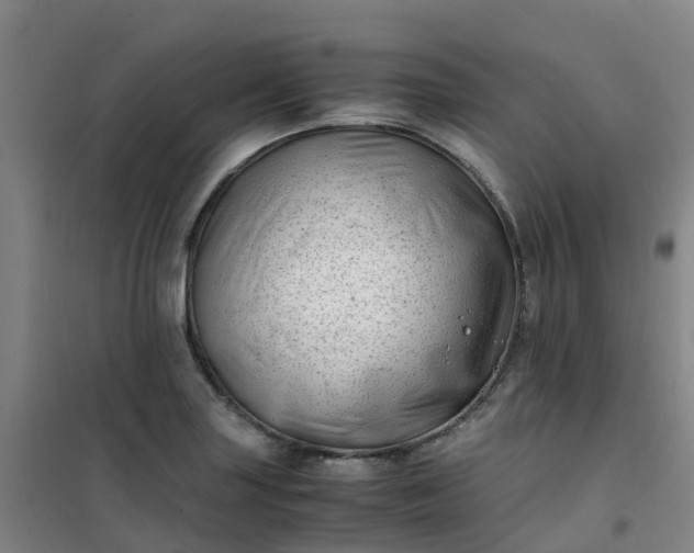 X0000101171227200807111044