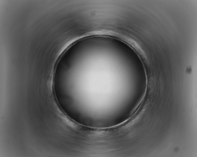 X0000101171228200807111044