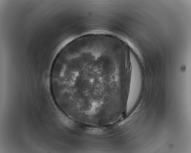X0000101171229200807111044