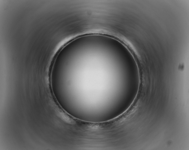 X0000101171230200807111044