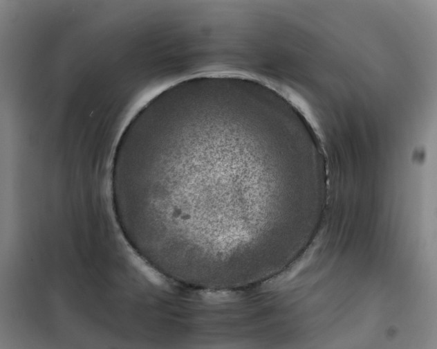 X0000101171231200807111044