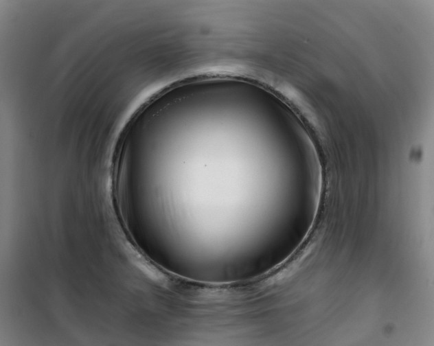 X0000101171232200807111045