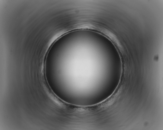 X0000101171234200807111045