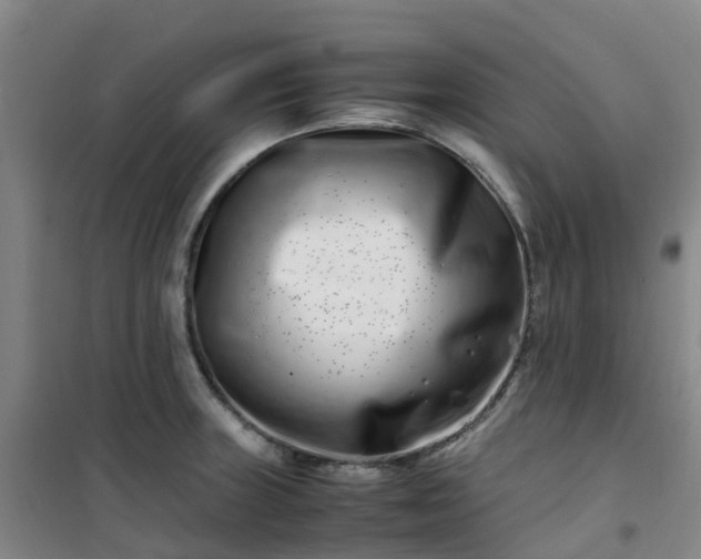 X0000101171235200807111045