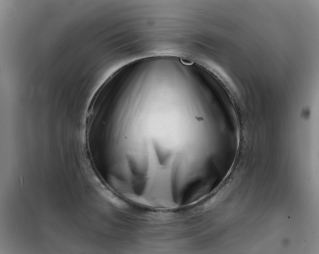 X0000101171236200807111045