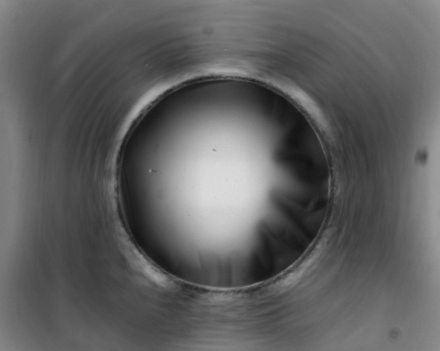 X0000101171240200807111045