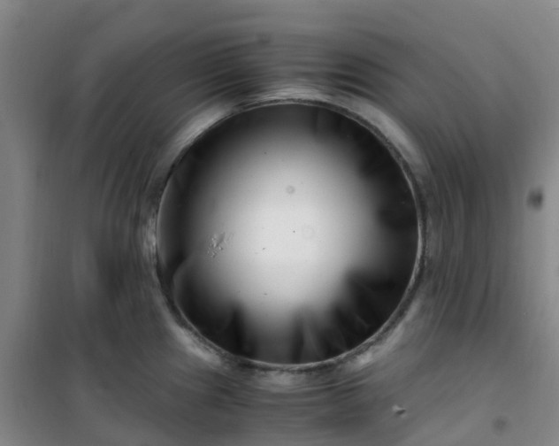 X0000101171241200807111045