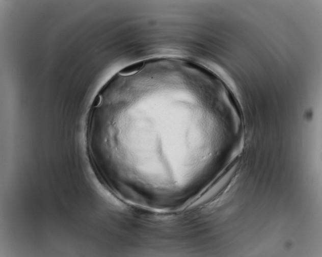 X0000101171243200807111045