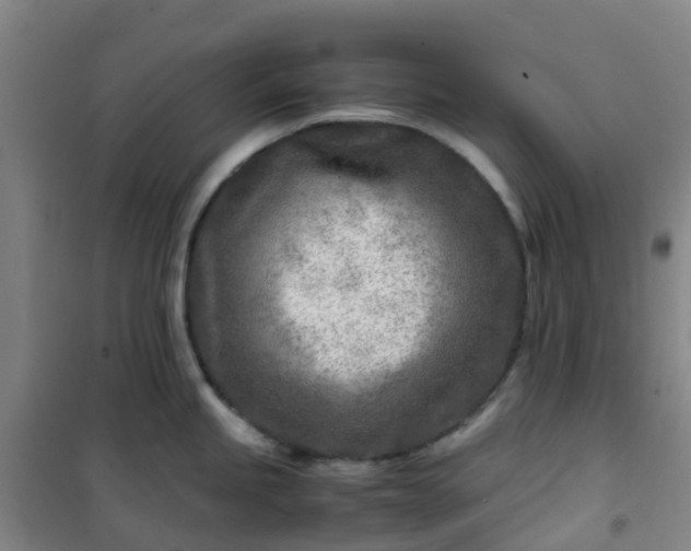 X0000101171245200807111045
