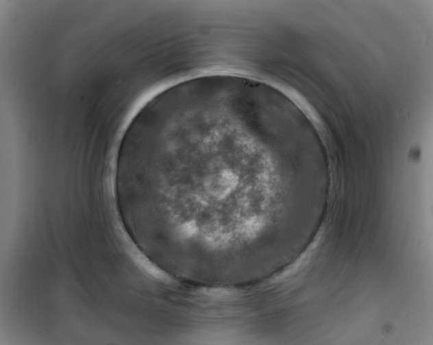 X0000101171246200807111045