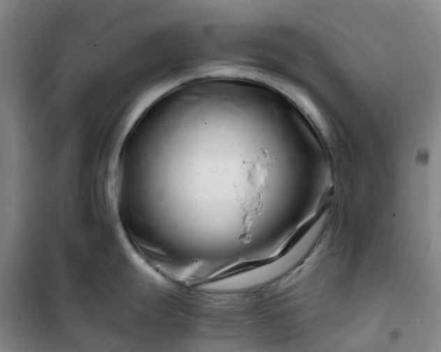 X0000101171247200807111045
