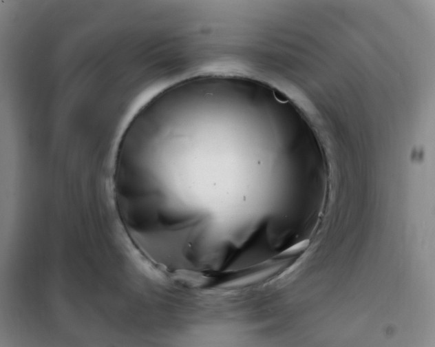 X0000101171248200807111045