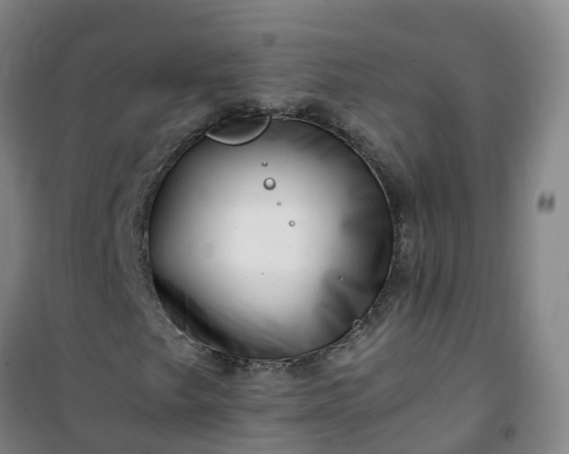 X0000101171249200807111044