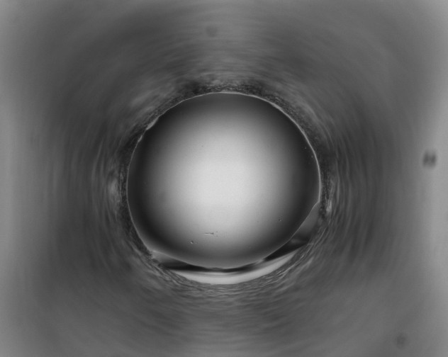 X0000101171250200807111044