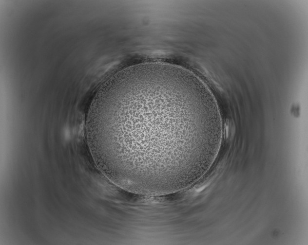 X0000101171251200807111044