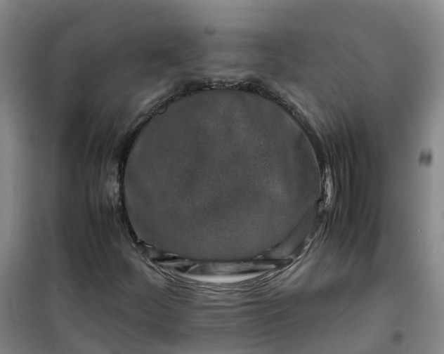 X0000101171252200807111044