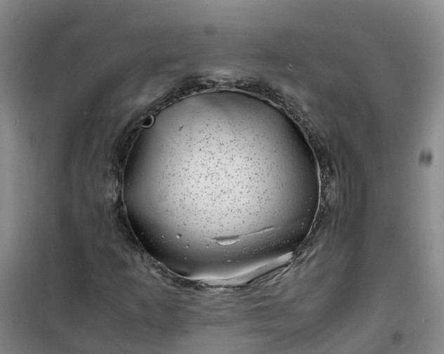 X0000101171253200807111044