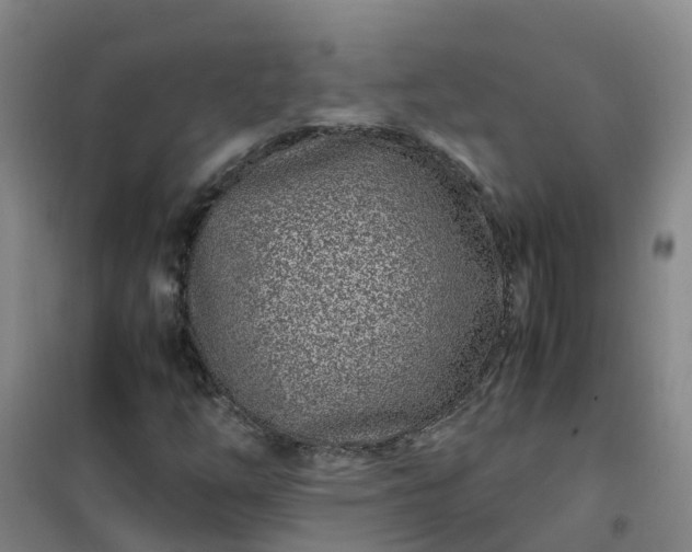 X0000101171254200807111044