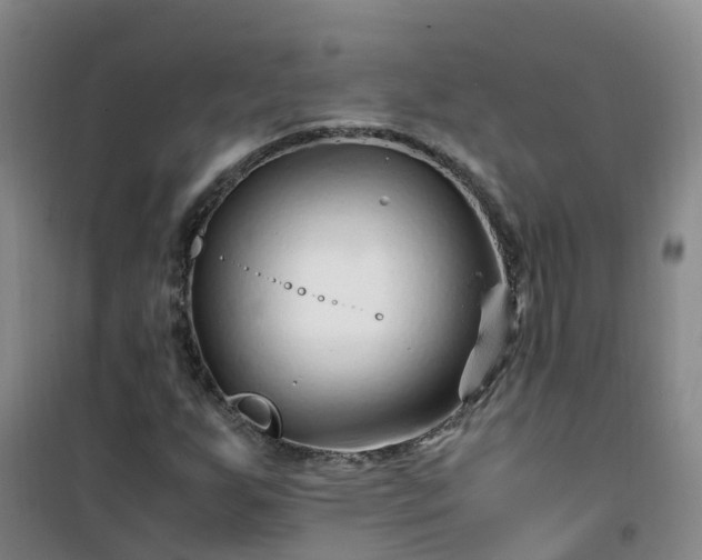 X0000101171255200807111044