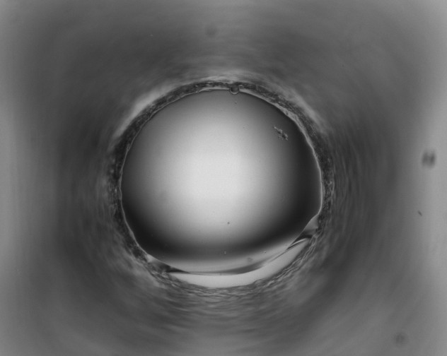 X0000101171256200807111044