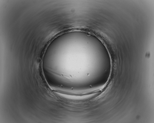 X0000101171257200807111044